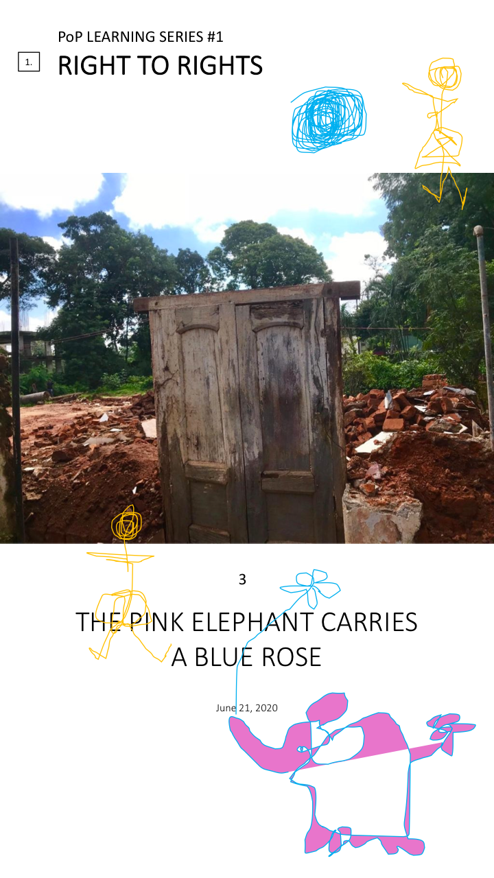 3. The Pink Elephant Carries A Blue Rose